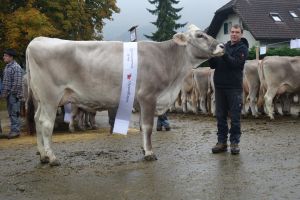 Miss Schwarzenberg 2022 Bender Biasca J. Hodel